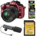Panasonic GH1 Digital SLR with 14-140mm, DMW-MS1 Microphone, 8GB SD Card and HDMI Cable (Red)