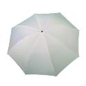 Interfit INT261 100cm Translucent Umbrella