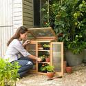 mini wooden greenhouse