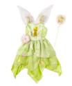 Disney Tinkerbell Dress Up