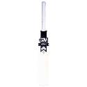 GM Icon DXM 303 Harrow Cricket Bat