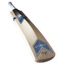 GM Catalyst 606 Harrow Cricket Bat