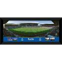 Goodison Park Match in Action (26x11")