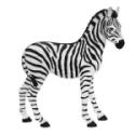 Zebra statue/stuffed animal