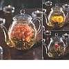 Glass teapot & abloom tea