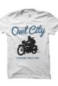 Owl City Crusin