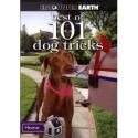 The Best of 101 Dog Tricks- DVD [DVD]