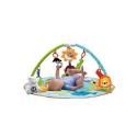 Fisher Price Precious Planets Deluxe Musical Activity Gym
