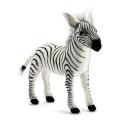 stuffed zebra