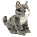 stuffed animal cat