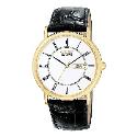 Citizen Eco Drive Men's Gold Plated White Dial Strap Watch