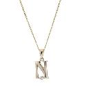 9ct Yellow Gold Letter Pendant N