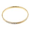 DKNY Stainless Steel Cubic Zirconia Gold Coloured Bangle