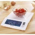 Salter Max-View Electronic Scales