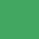 Colorama 2.72x11m - Chroma Green