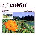 Cokin P113 Split Field +3 Filter