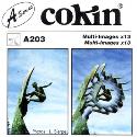 Cokin A203 Multi Image x13 Filter