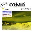 Cokin P661 Gradual Fluorescent Yellow 2 Filter