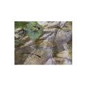 Wildlife Watching Leafcut Scrim Cover 3m x 2.7m (backed) - Advantage