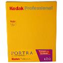 Kodak Portra 160 VC 4x5 inch, 10 sheets