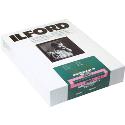 Ilford MG4FB1K 8x10 inches 250 sheets 1833508