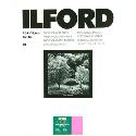 Ilford MG4FB1K 27.9x35.6cm 50 sheets 1833571