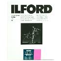 Ilford MG4RC1M 20.3x25.4cm 50 sheets 1770339