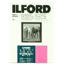 Ilford MG4RC1M 10x15cm 100 sheets 1769771