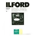 Ilford MG4FB5K 24x30.5cm 50 sheets 1833957